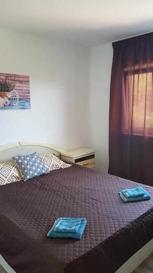 Apartament Mandree 코스티네스티 외부 사진