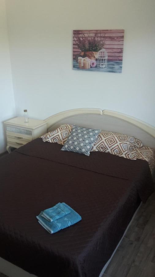 Apartament Mandree 코스티네스티 외부 사진